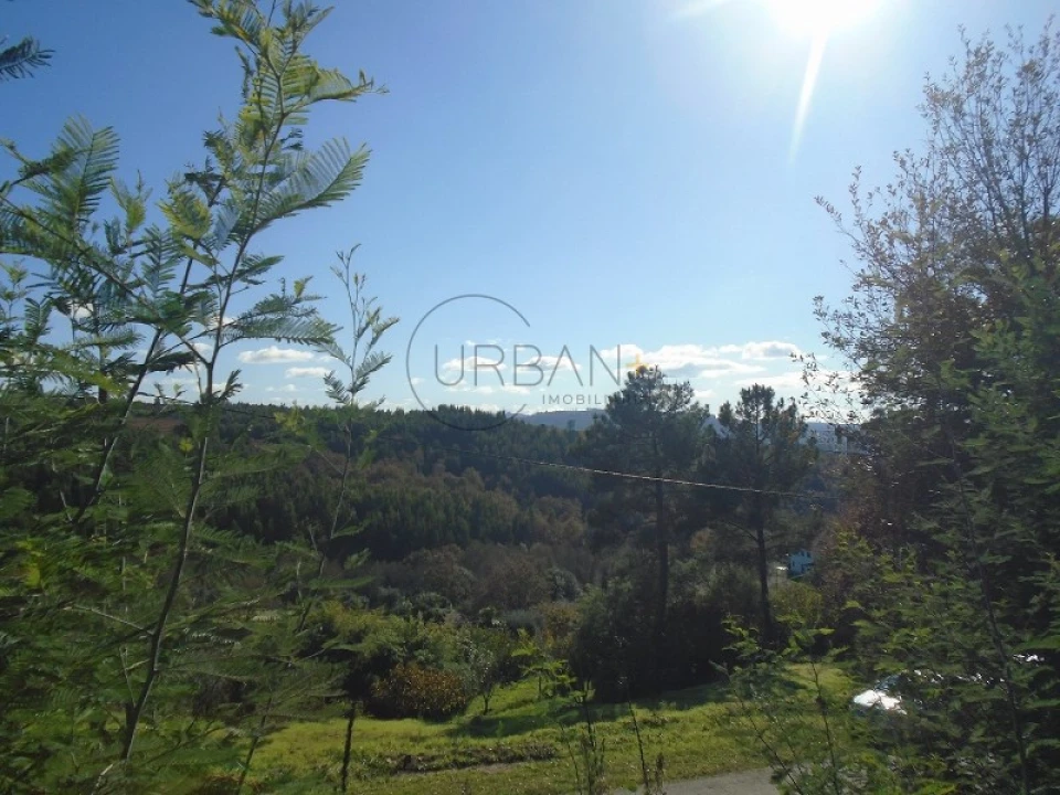 Terreno para Venda em Santos Evos Foto 2