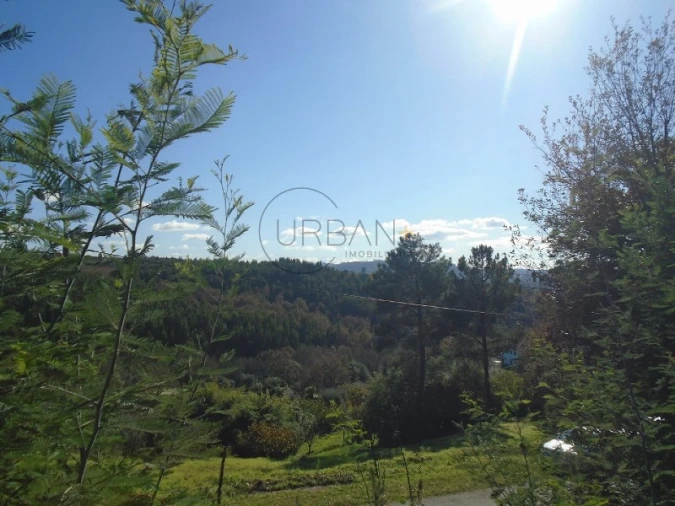 Terreno para Venda em Santos Evos Foto 2
