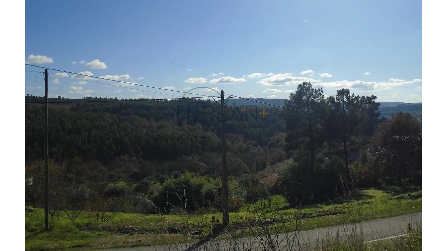 Terreno para Venda em Santos Evos