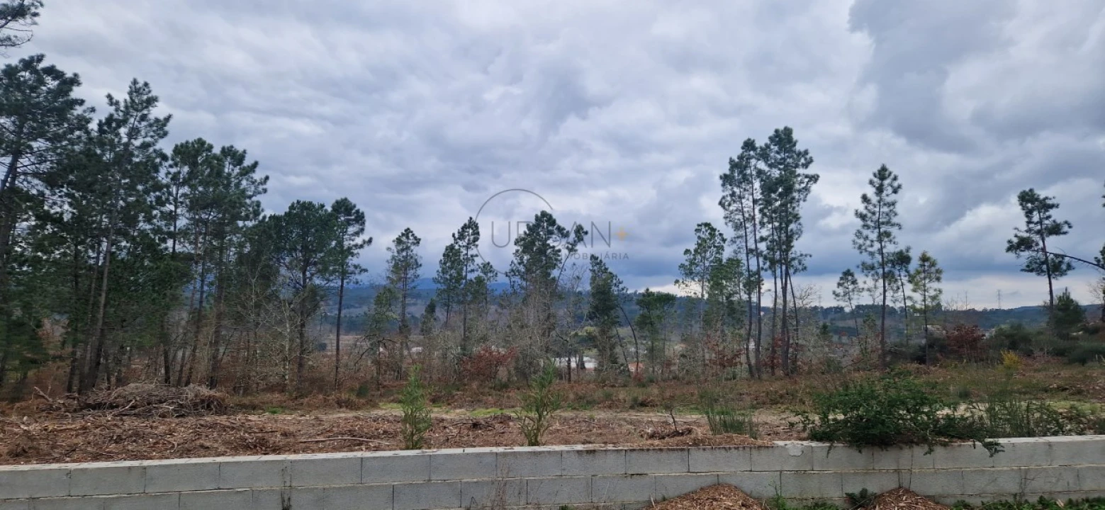Terreno para Venda em Couto de Baixo e Couto de Cima Foto 7