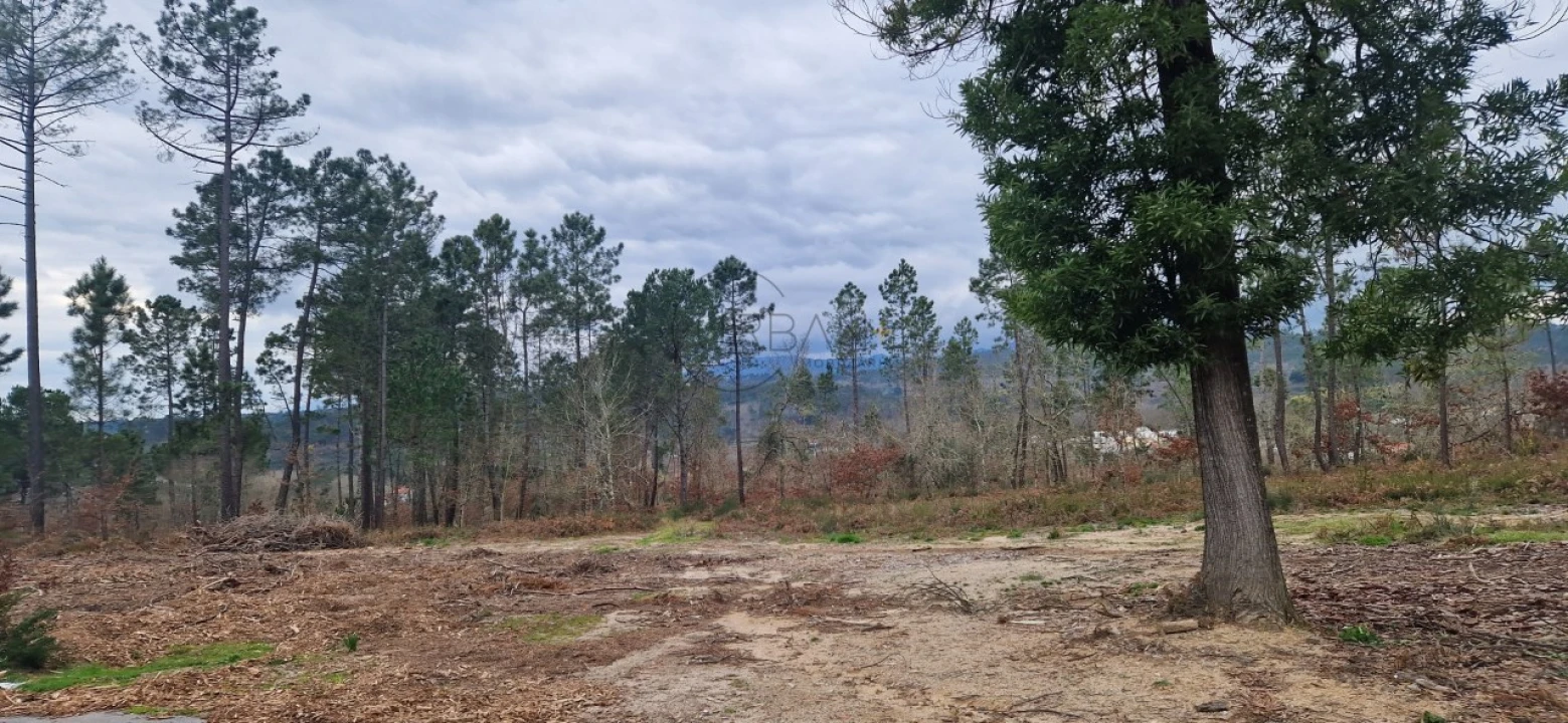 Terreno para Venda em Couto de Baixo e Couto de Cima Foto 6