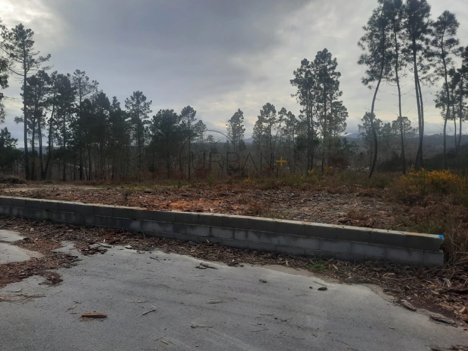 Terreno para Venda em Couto de Baixo e Couto de Cima Foto 2