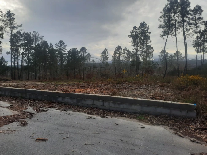 Terreno para Venda em Couto de Baixo e Couto de Cima Foto 2