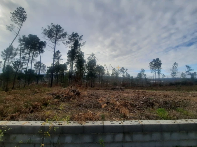 Terreno para Venda em Couto de Baixo e Couto de Cima Foto 3