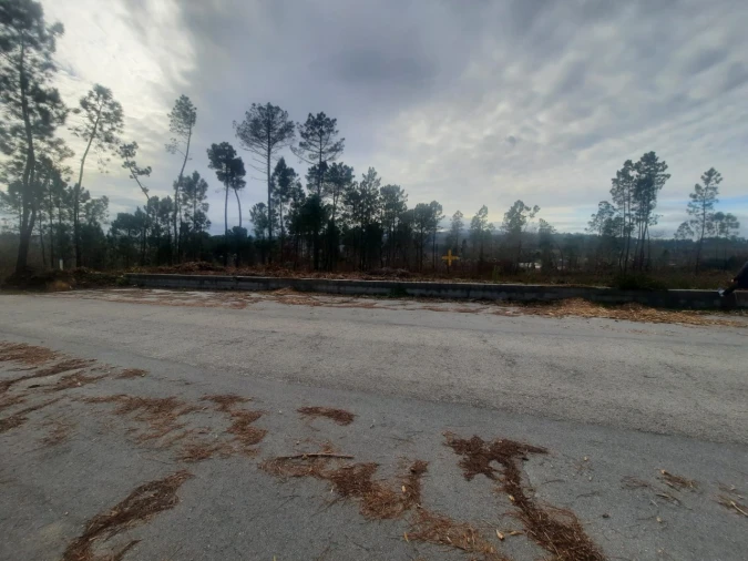 Terreno para Venda em Couto de Baixo e Couto de Cima Foto 5