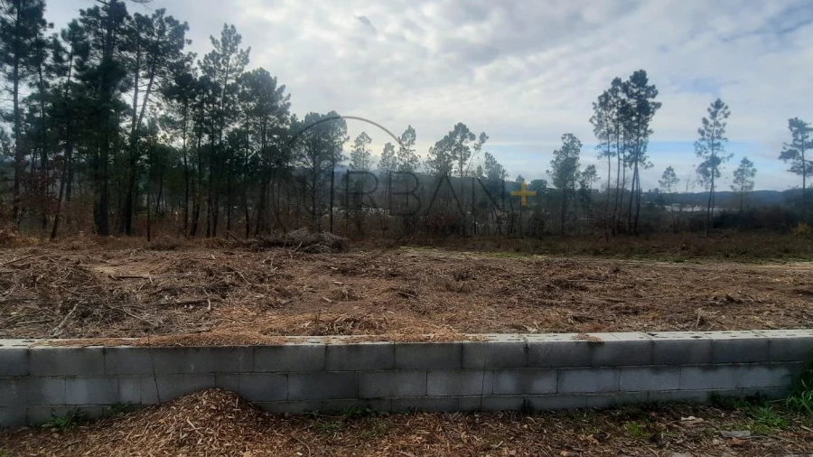 Terreno para Venda em Couto de Baixo e Couto de Cima