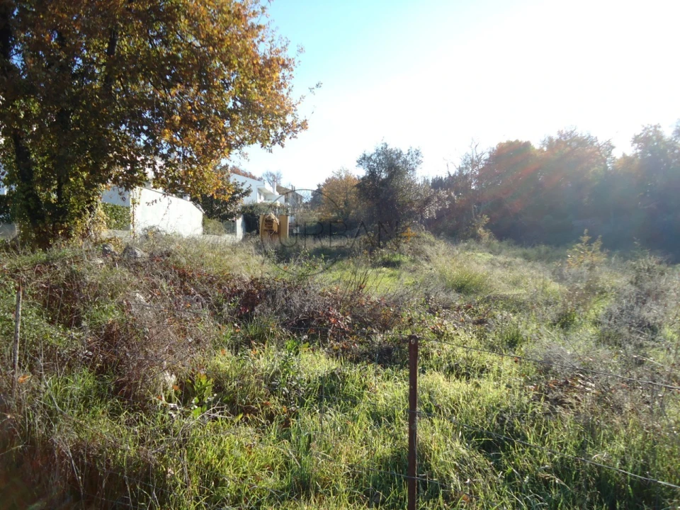 Terreno para Venda em Ranhados Foto 2