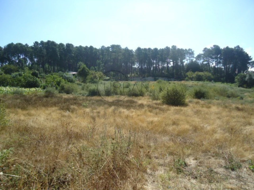 Terreno para Venda em Ranhados Foto 2