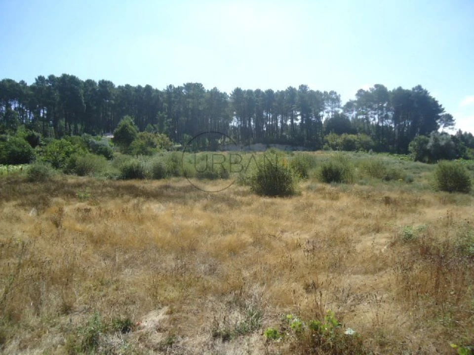 Terreno para Venda em Ranhados Foto 4