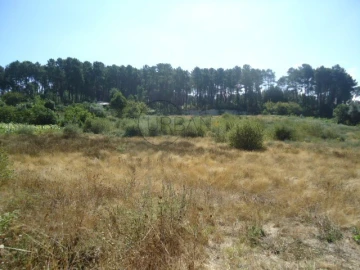 Terreno para Venda em Ranhados