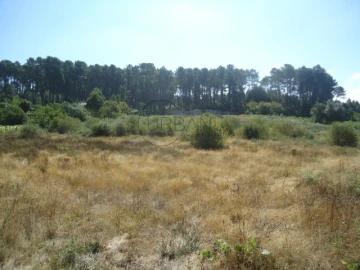 Terreno para Venda em Ranhados