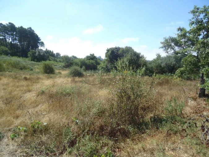 Terreno para Venda em Ranhados Foto 3