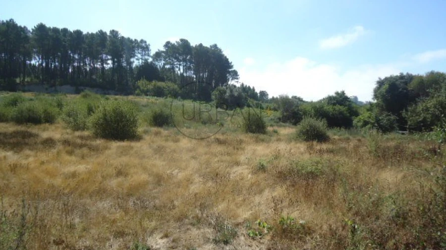 Terreno para Venda em Ranhados