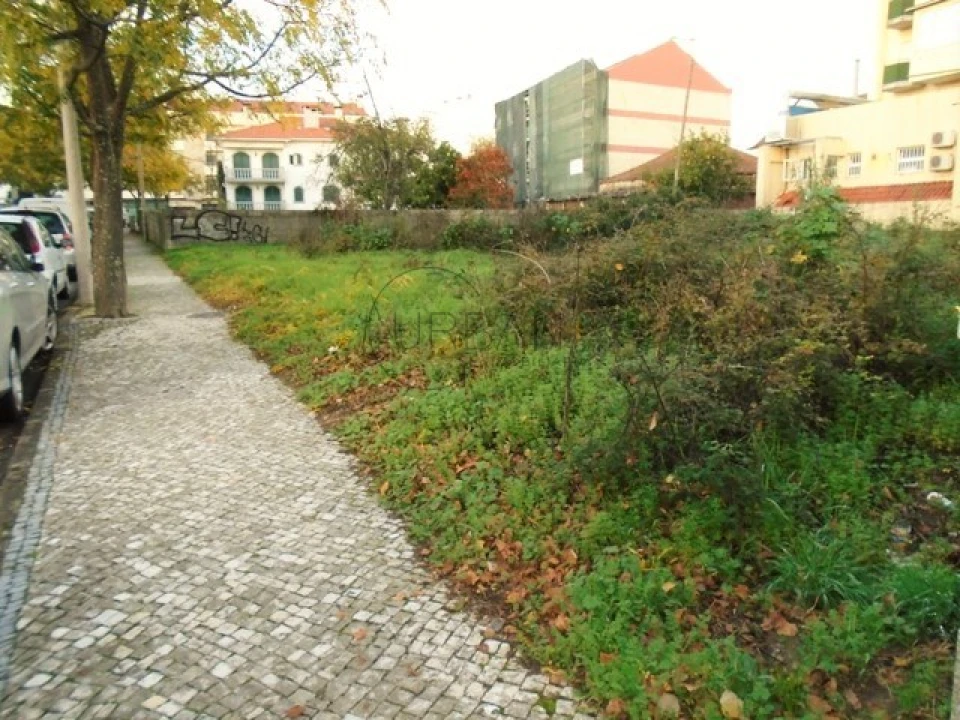 Terreno para Venda em Viseu Foto 3