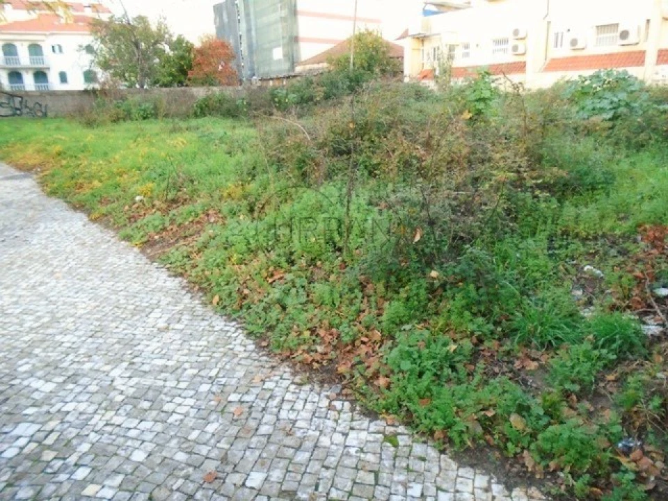 Terreno para Venda em Viseu Foto 4