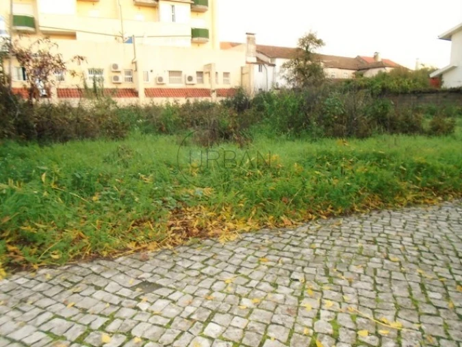 Terreno para Venda em Viseu Foto 2
