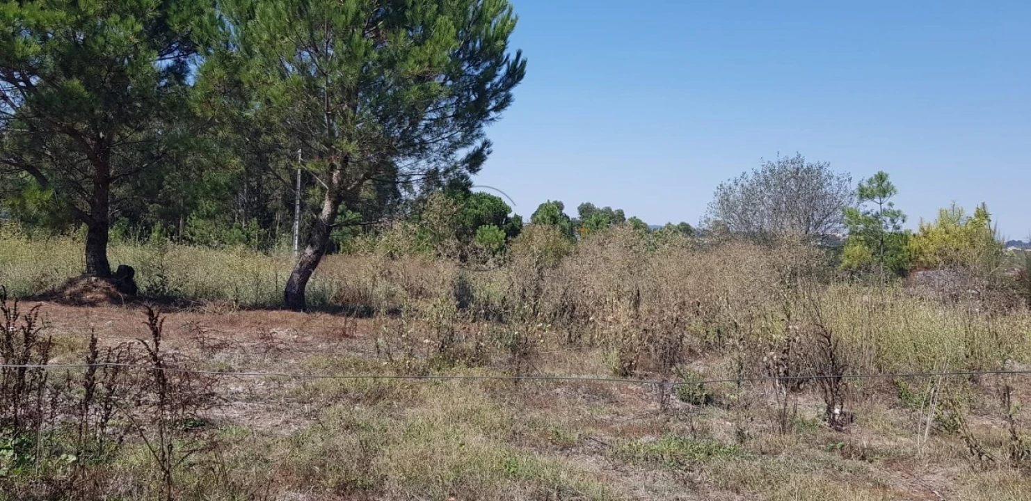 Terreno para Venda em São João de Lourosa Foto 2