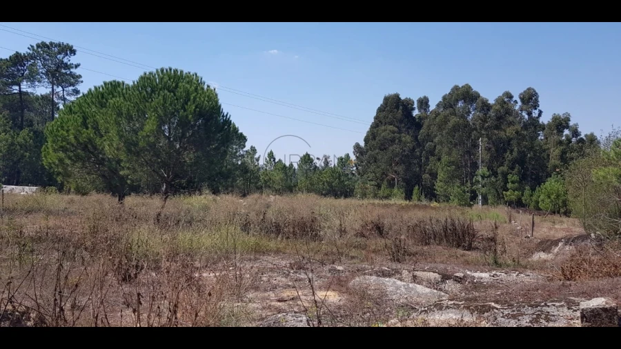 Terreno para Venda em São João de Lourosa