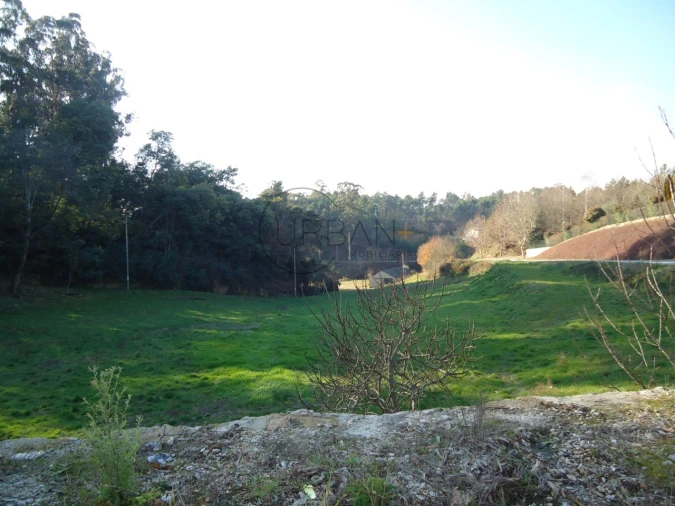 Terreno para Venda em Satão Foto 2