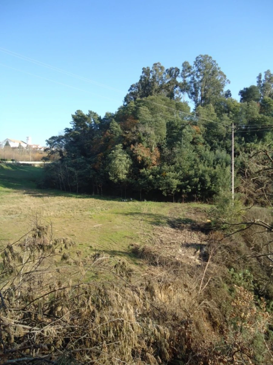 Terreno para Venda em Satão Foto 3