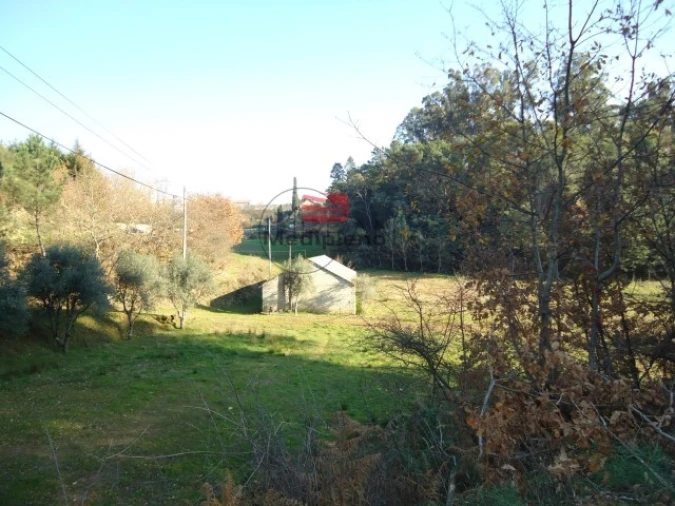 Terreno para Venda em Satão Foto 5