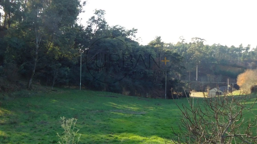 Terreno para Venda em Satão
