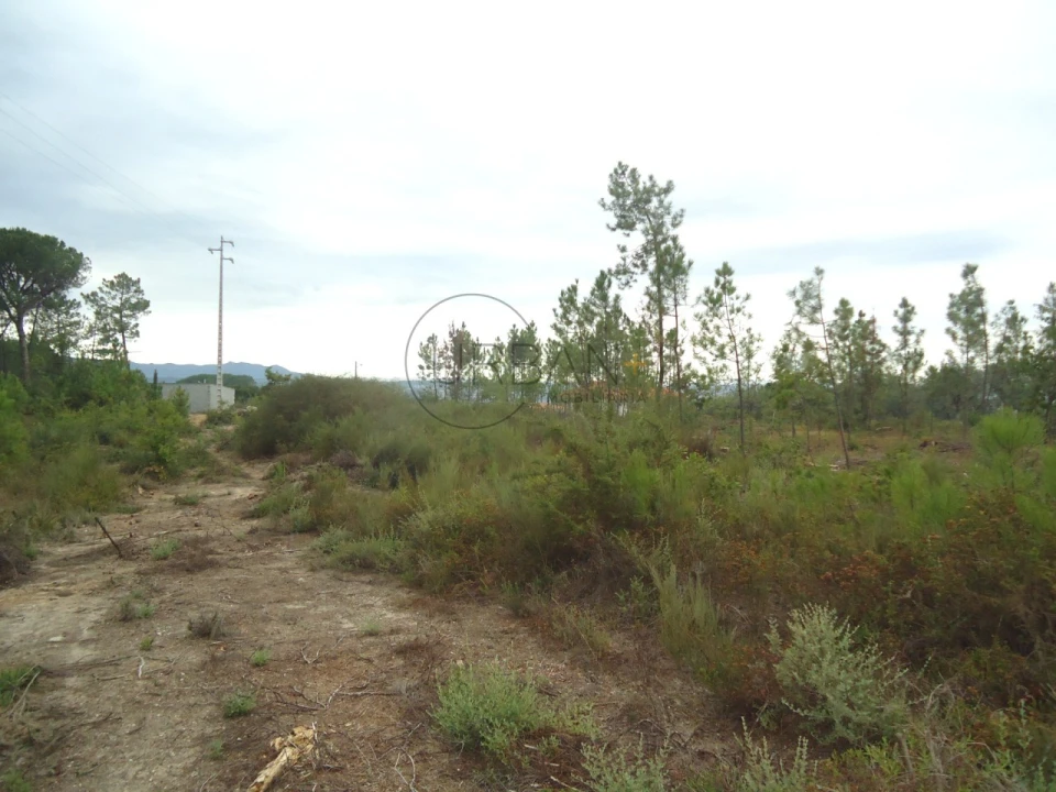 Terreno para Venda em Silgueiros Foto 1