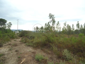 Terreno para Venda em Silgueiros