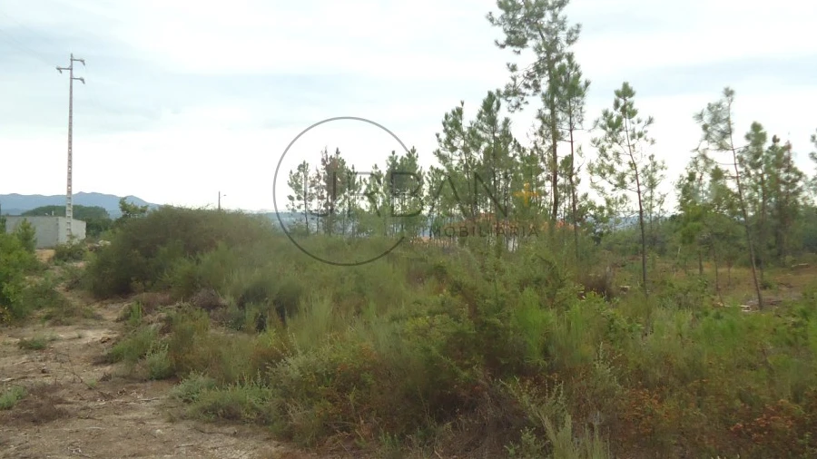 Terreno para Venda em Silgueiros