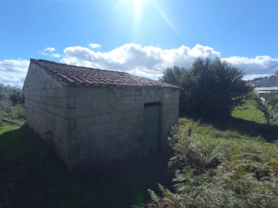 Terreno para Venda em Campo Foto 1