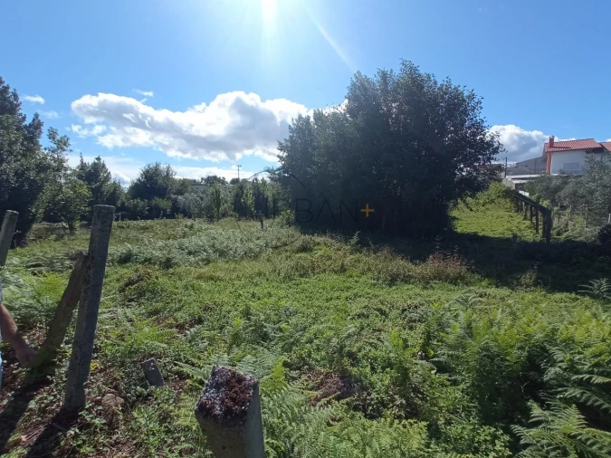 Terreno para Venda em Campo Foto 4