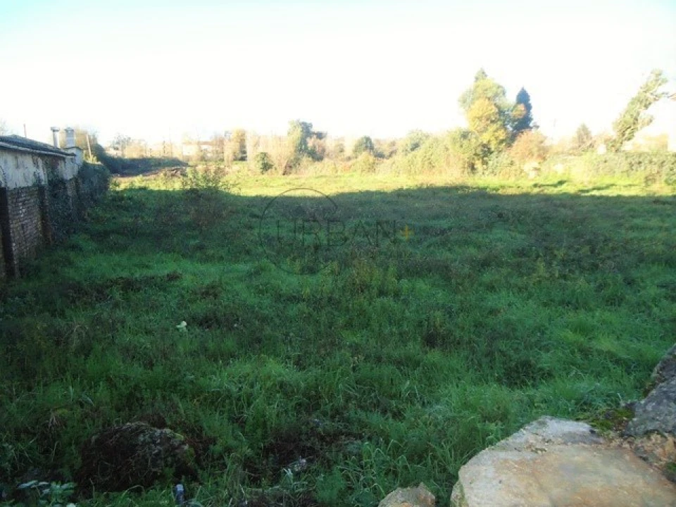 Terreno para Venda em Viseu Foto 3