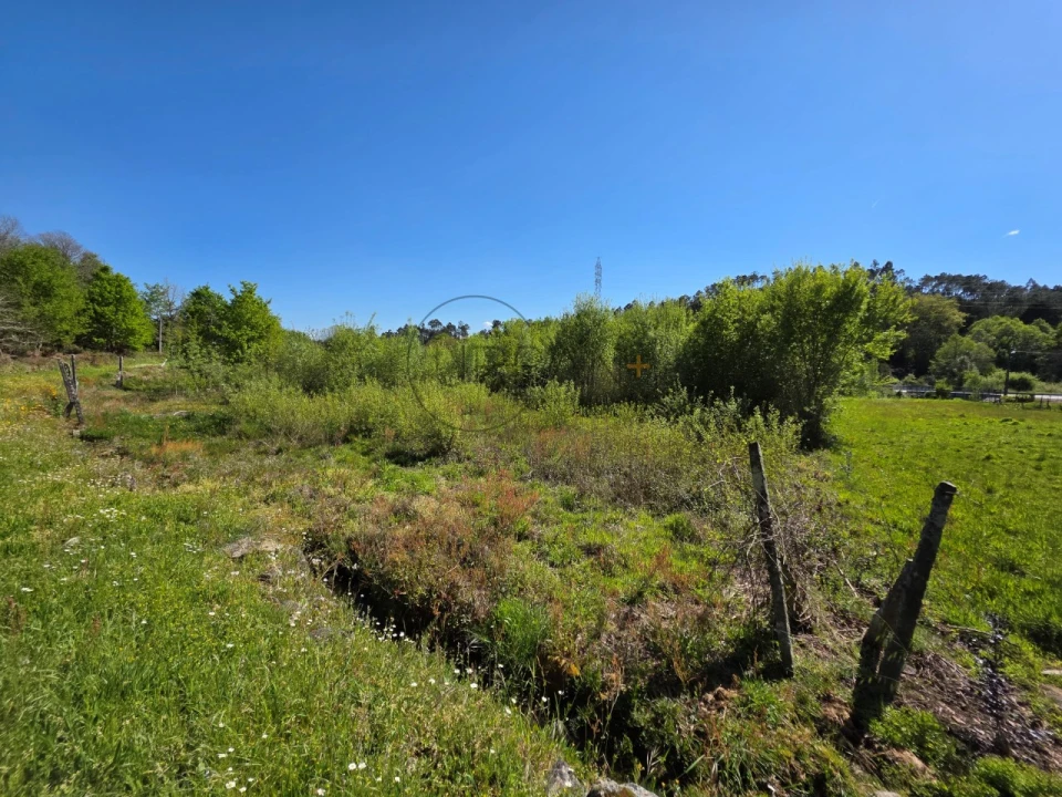 Terreno para Venda em Bodiosa Foto 1