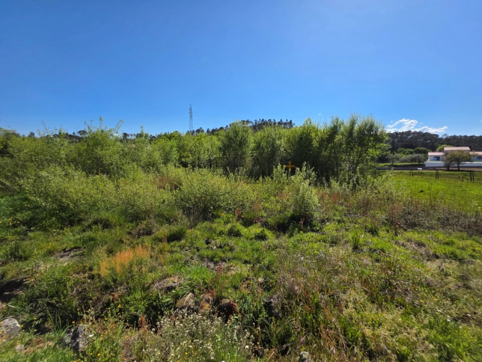 Terreno para Venda em Bodiosa Foto 2