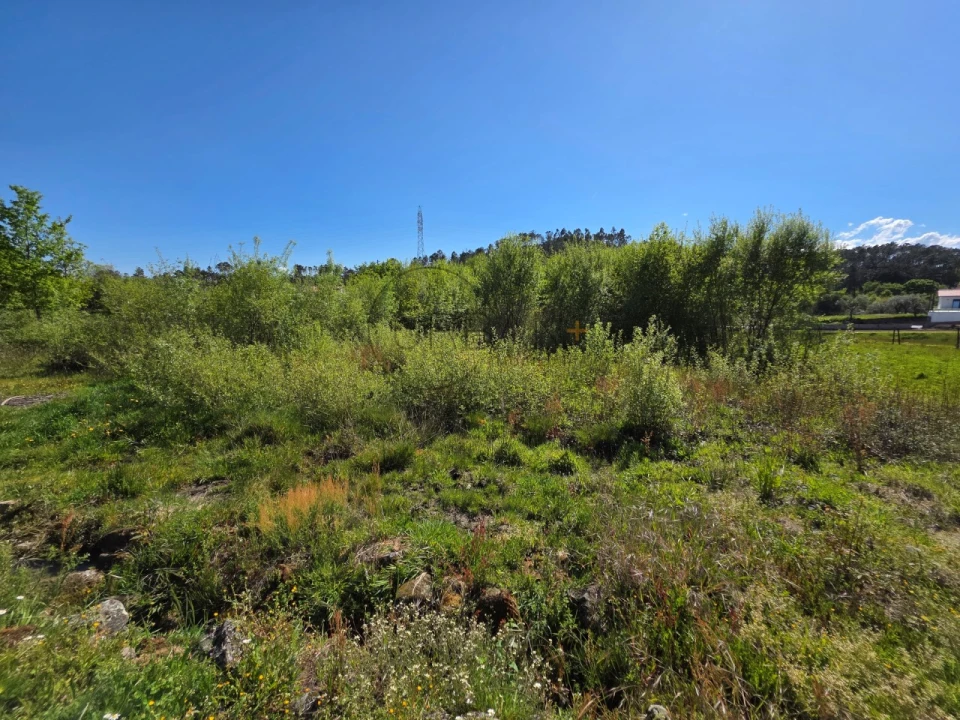 Terreno para Venda em Bodiosa Foto 3