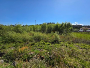 Terreno para Venda em Bodiosa