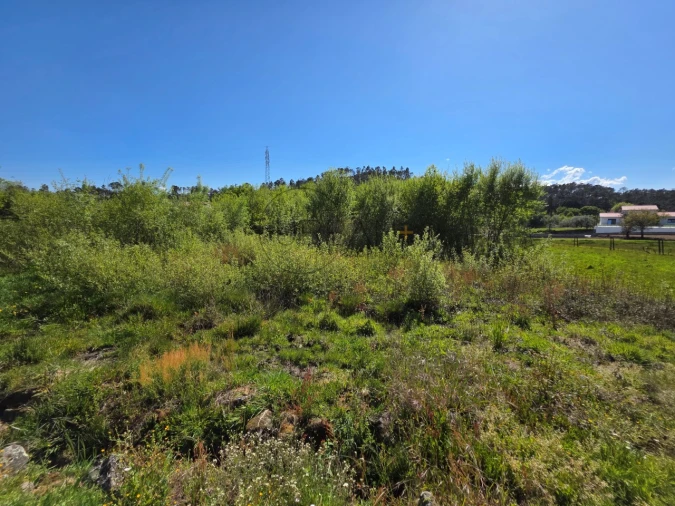 Terreno para Venda em Bodiosa Foto 2