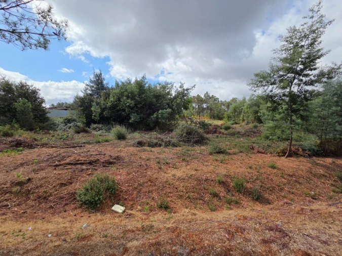 Terreno para Venda em Abraveses Foto 4