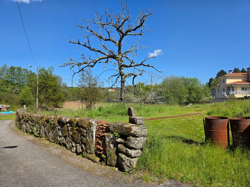 Terreno para Venda em Bodiosa Foto 1