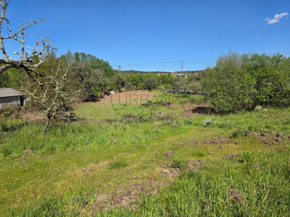 Terreno para Venda em Bodiosa Foto 2