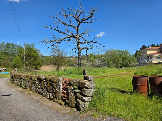 Terreno para Venda em Bodiosa