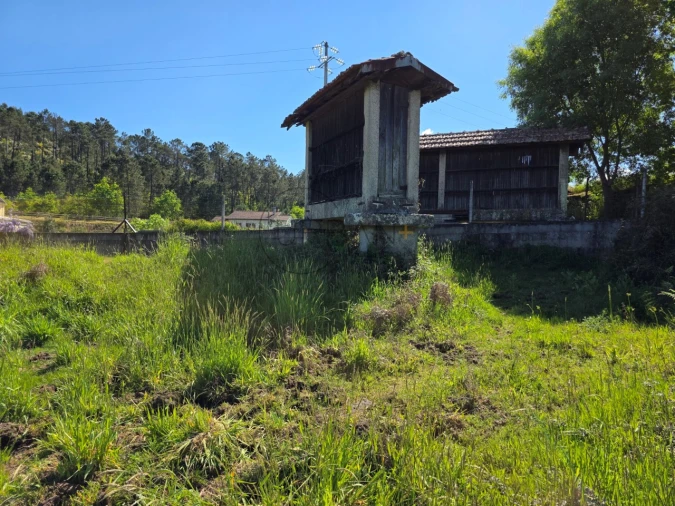 Terreno para Venda em Bodiosa Foto 3