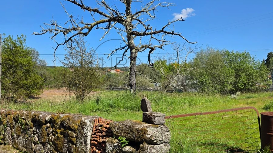 Terreno para Venda em Bodiosa