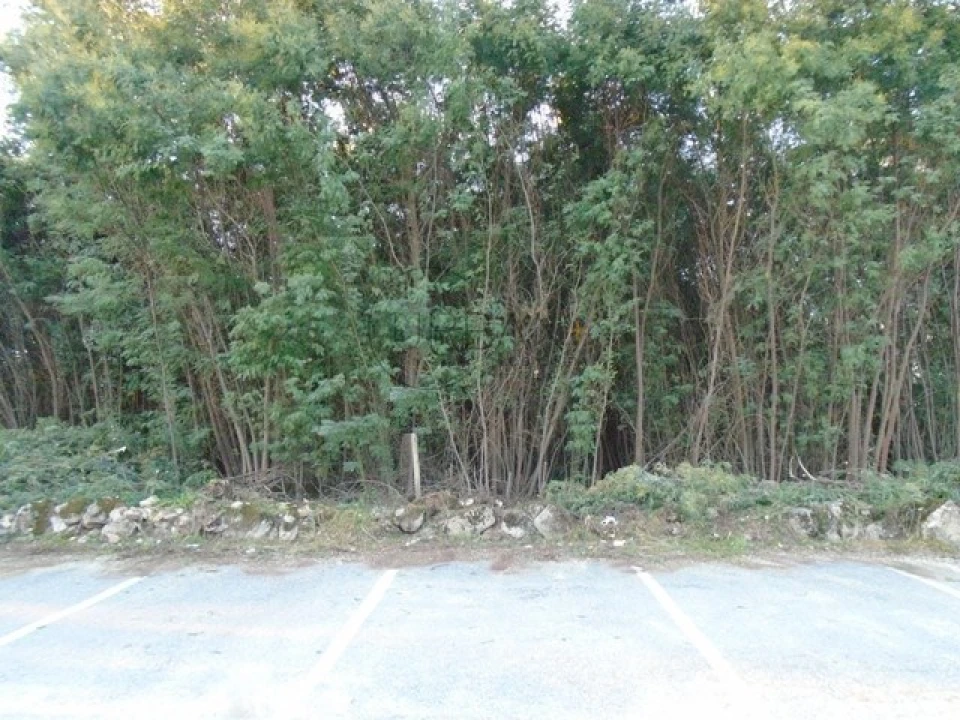 Terreno para Venda em Povolide Foto 1