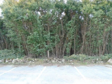 Terreno para Venda em Povolide