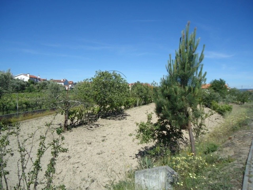 Terreno para Venda em Mangualde, Mesquitela e Cunha Alta Foto 3