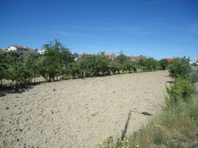 Terreno para Venda em Mangualde, Mesquitela e Cunha Alta Foto 2
