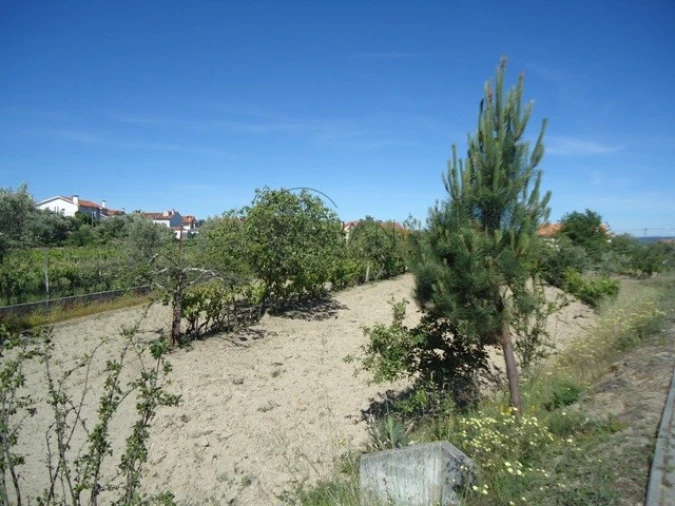 Terreno para Venda em Mangualde, Mesquitela e Cunha Alta Foto 3