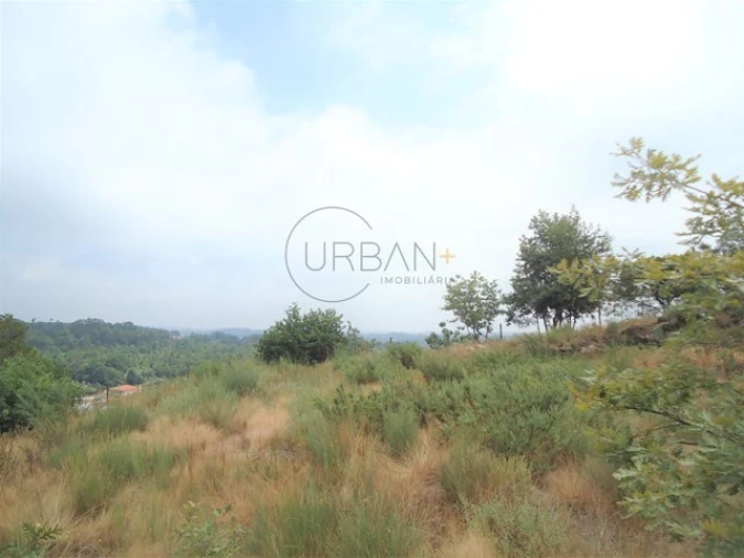 Terreno para Venda em São Cipriano e Vil de Souto Foto 3