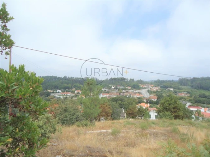 Terreno para Venda em São Cipriano e Vil de Souto Foto 4